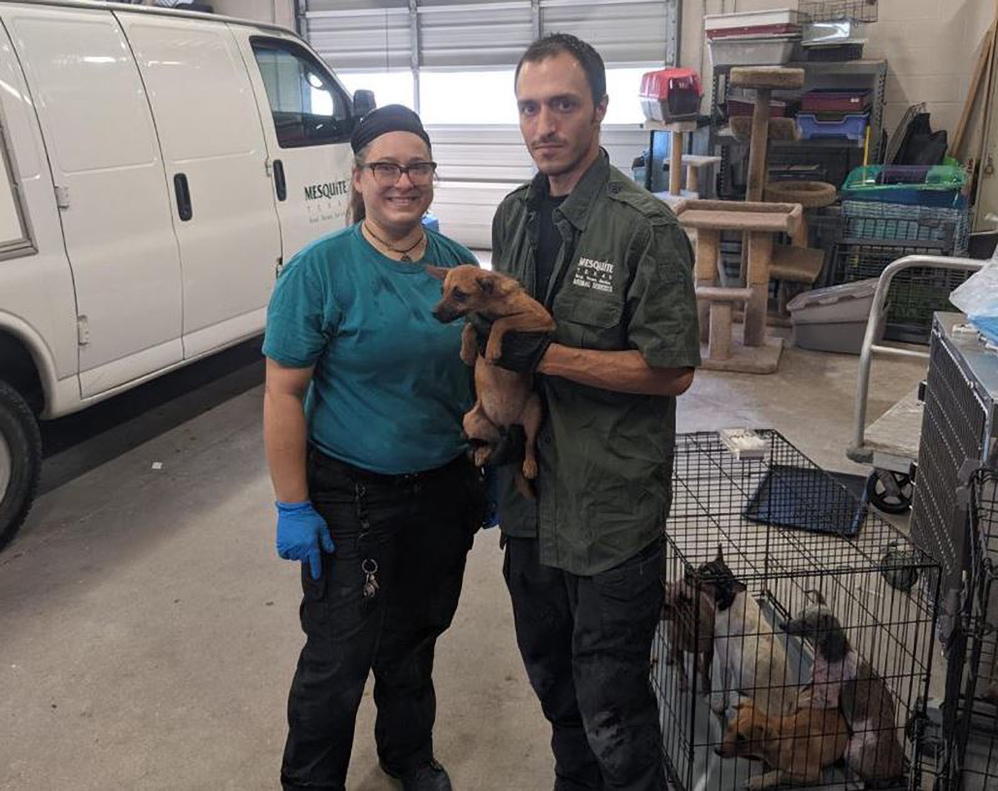 Read more about the article Dallas Officials Seize Over 100 Caged Dogs From House