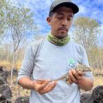 IGGY SPOT: Iguanas Extinct For Centuries Make Comeback