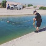 SWIM FOR DEER LIFE: Cop Pulls Two Deer From Canal