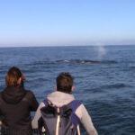 GOT THE HUMP: Small Boat Dwarfed In Among Pod Of Magnificent Humpback…