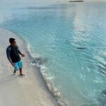 RAY TO GO: Man Feeds Stingrays In Shallow Sea Waters Of The…