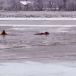 ICE COLD DEER: Firemen Pull Animal From Frozen Wisconsin River