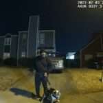 Dramatic Moment Suspect Drags Pet Bulldog By Its Leash While Trying To…