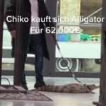 CROC IDOL: Lotto Multi-Millionaire Stars In Rap Video With Alligator