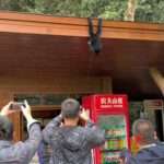 Wild Monkey Hangs From Shop Roof While Urinating On Tourists
