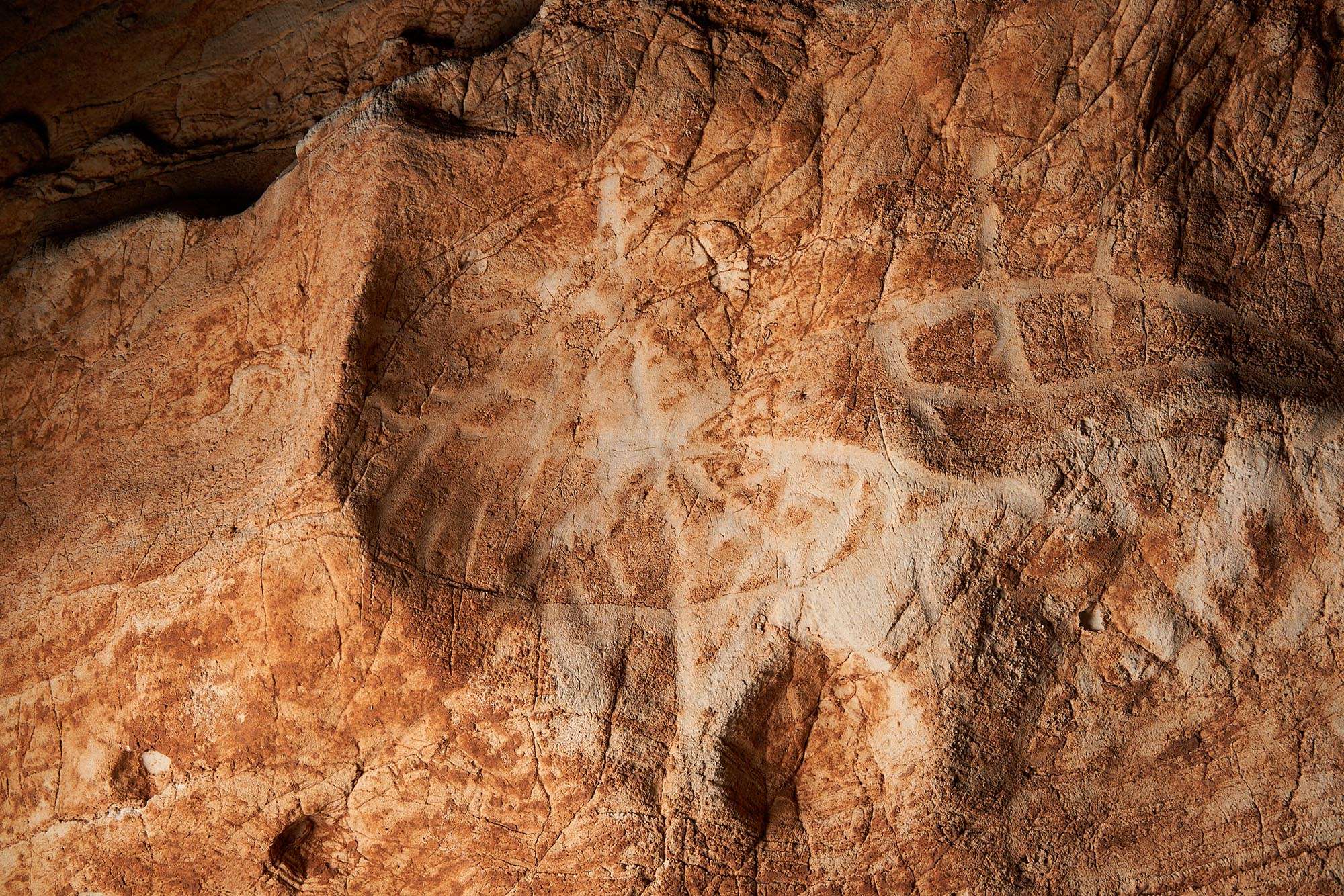 Read more about the article INCREDIBLE DISCOVERY: Hundreds Of Cave Drawings Found In Cave In North-Eastern Spain