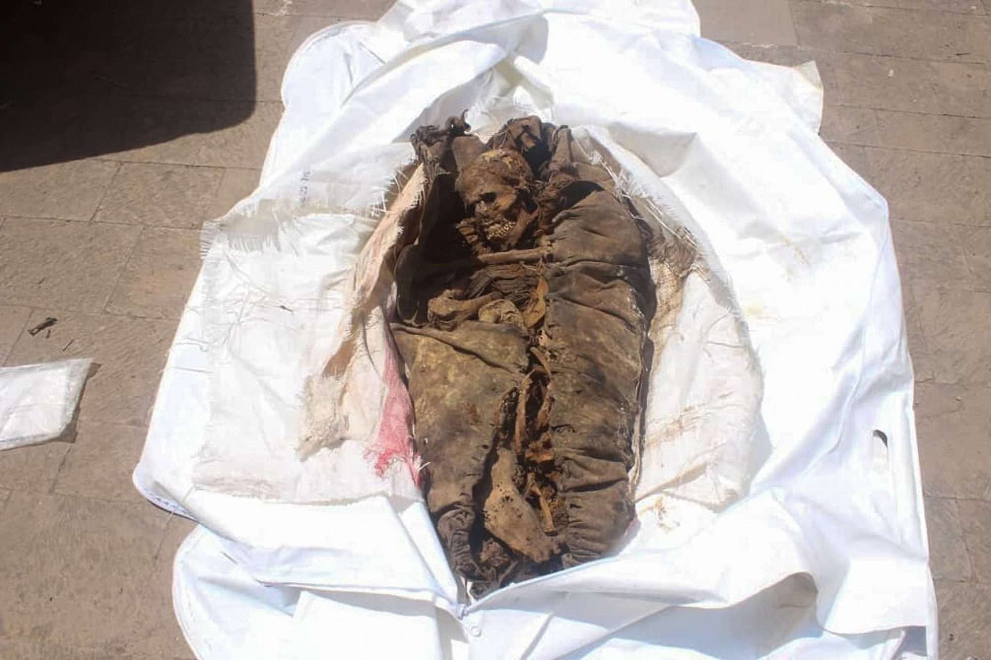 Read more about the article Looted 2,000-Year-Old Mummy Found On Rubbish Tip