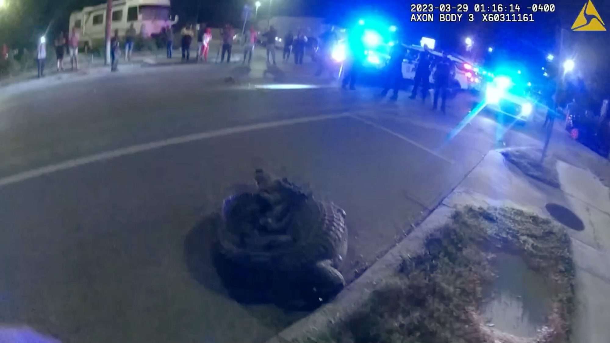 Read more about the article Brave Florida Cop Wrestles With 10ft-Long Angry Alligator