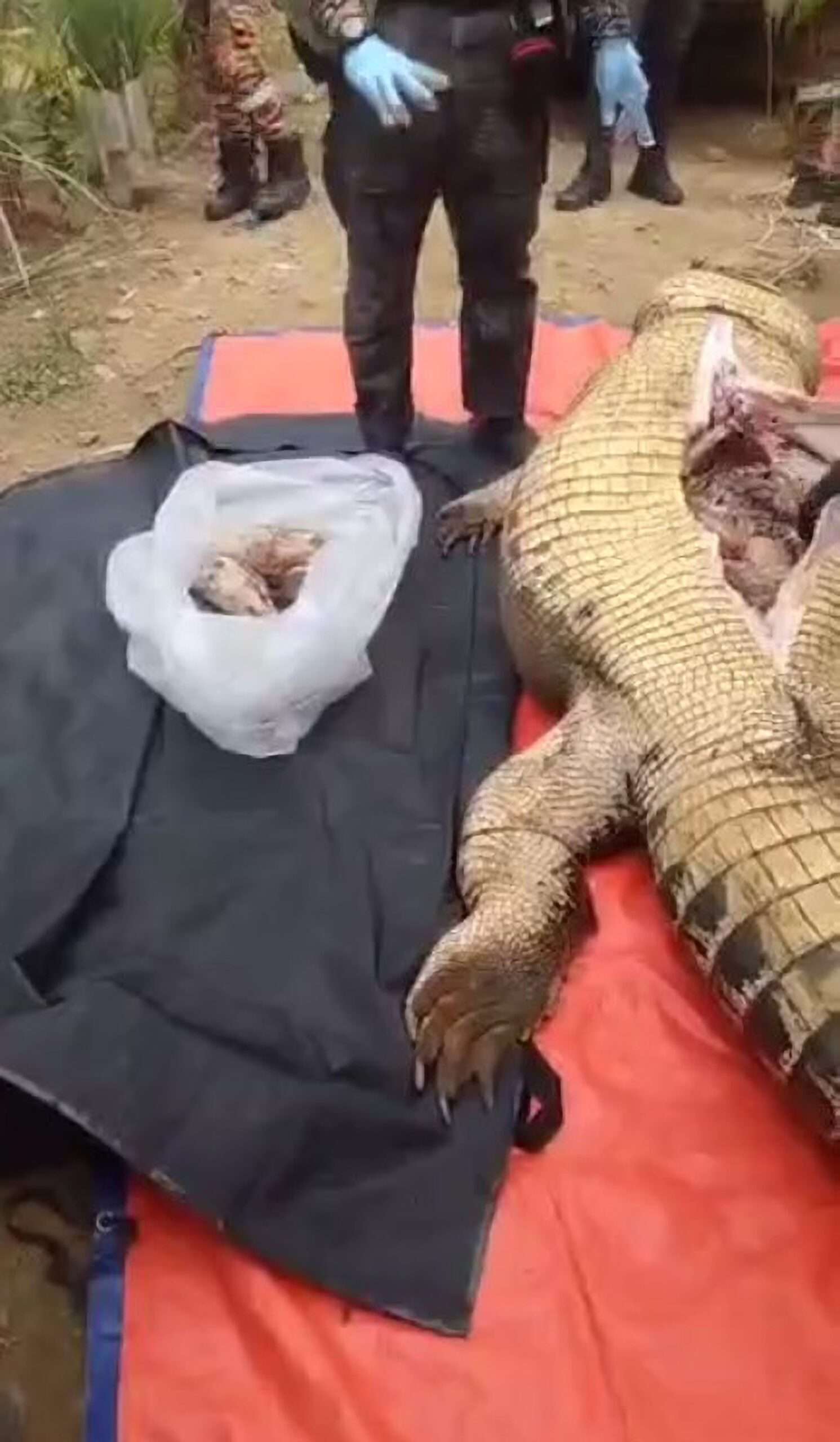 Read more about the article Farmer Missing For Four Days Was Eaten By Crocodile
