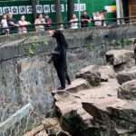 Standing Sun Bear Has Zoo Goers Convinced It Is A Human In…