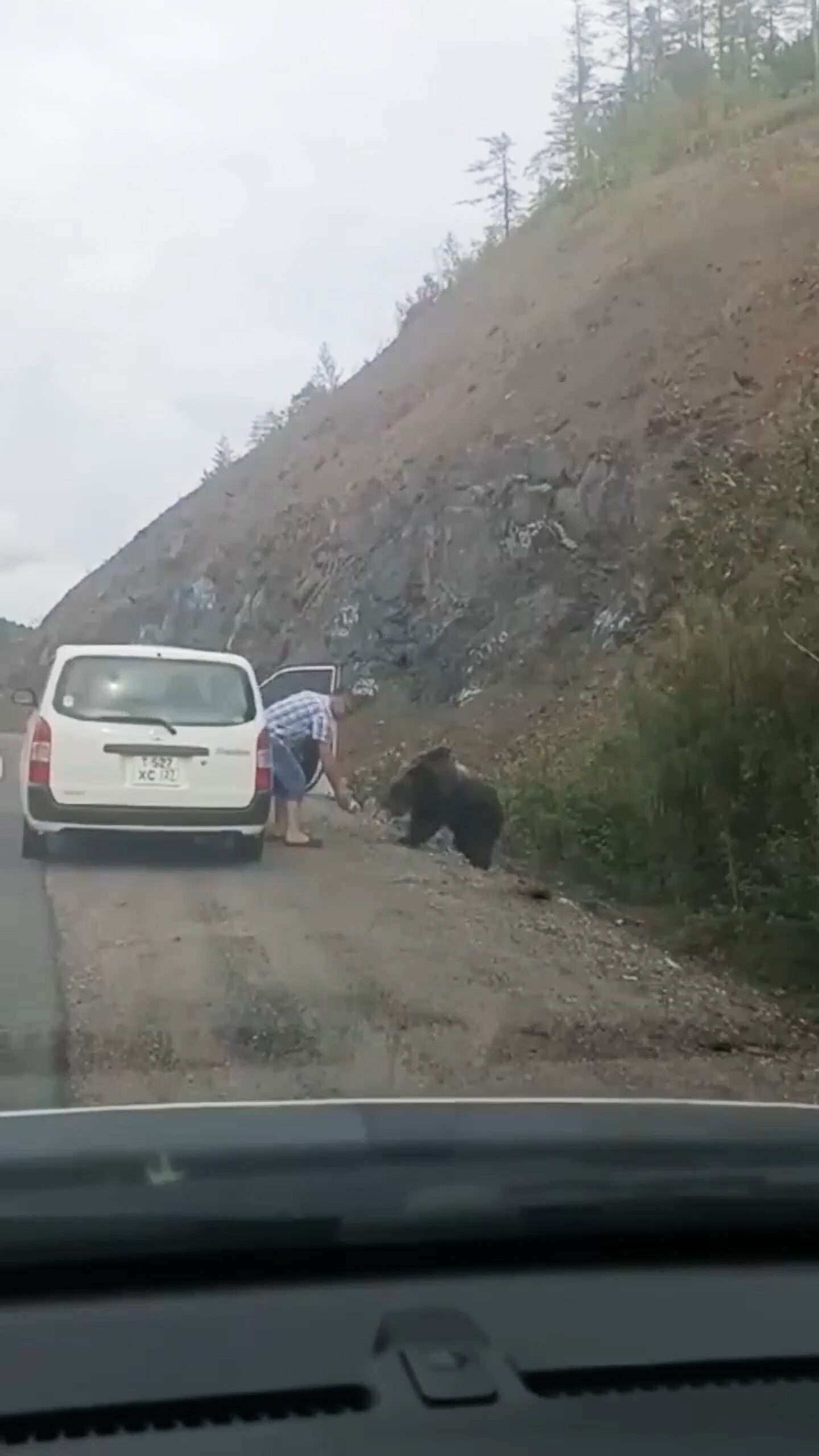 Read more about the article Foolish Motorist Turned His Back On Hungary Bear To Find Food In Car