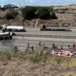  Pigs Flee Fire Along Busy Motorway As Overturned Lorry Burns