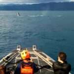 Humpback Whale With Tail Trapped In Fishing Net Saved