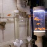 Man Builds Fish Tank Maze Using Transparent Pipes