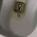 Woman Shocked When She Spots Snake Moving Inside Toilet Seconds Before Using…