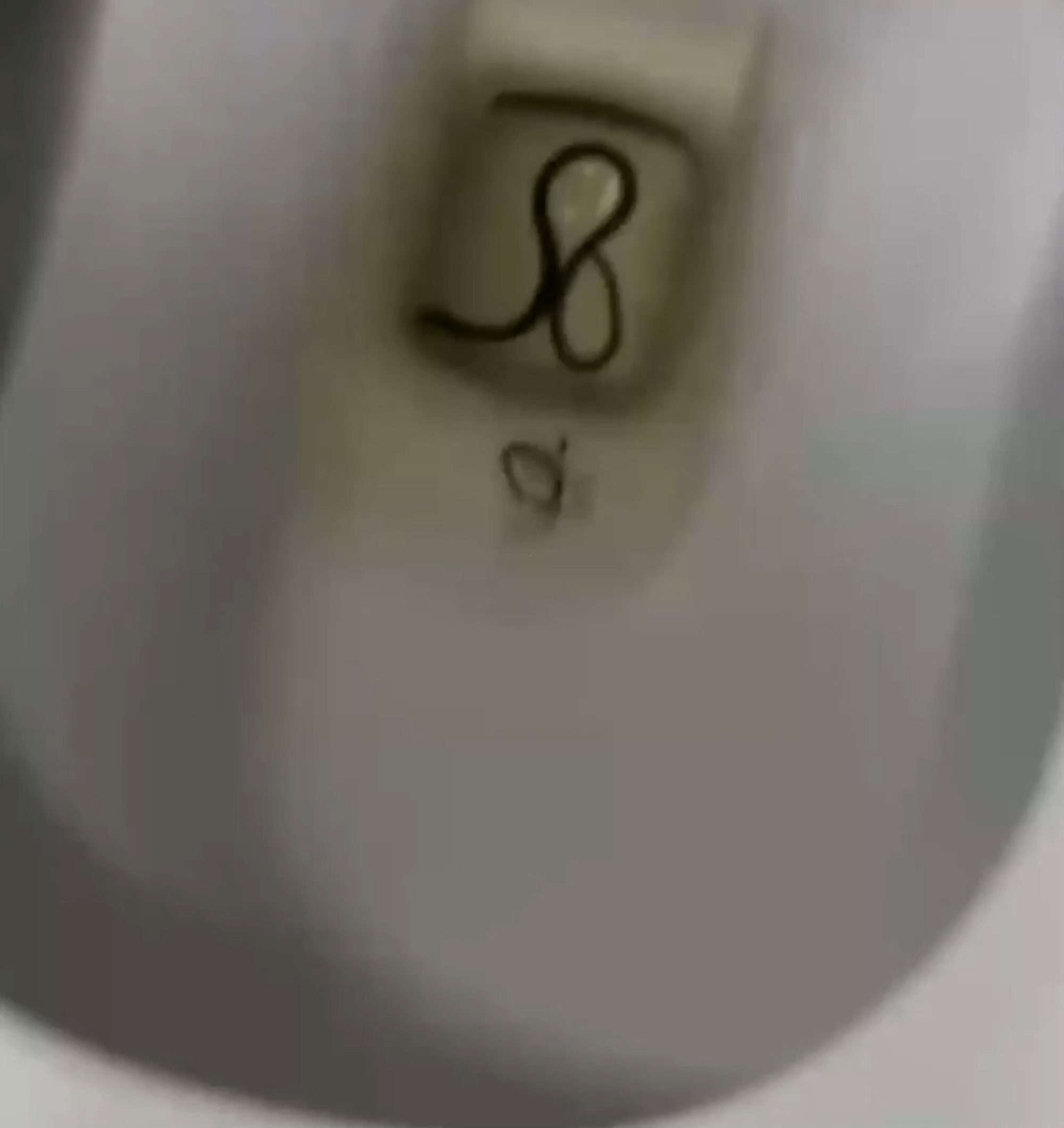 Read more about the article Woman Shocked When She Spots Snake Moving Inside Toilet Seconds Before Using It