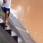 Animal Lover Releases Supermarket Fish Into Muddy Waters Of Local Canal