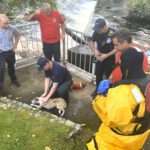 Missing Dog Safely Recovered From River By Firefighters