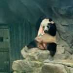 Adorable Panda Dries Off Using Huge Bath Towel