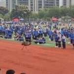 Big Bird Joins School Running Competition, Runs Three Laps Across Track