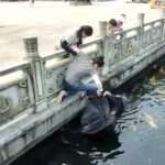 Waitress Criticised For Snatching Turtle From Pond At Sacred Buddhist Temple