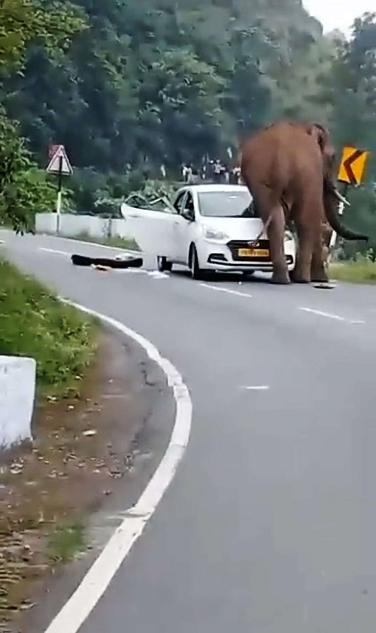 Read more about the article Moment Huge Elephant Tosses Car Around Like Rag Doll