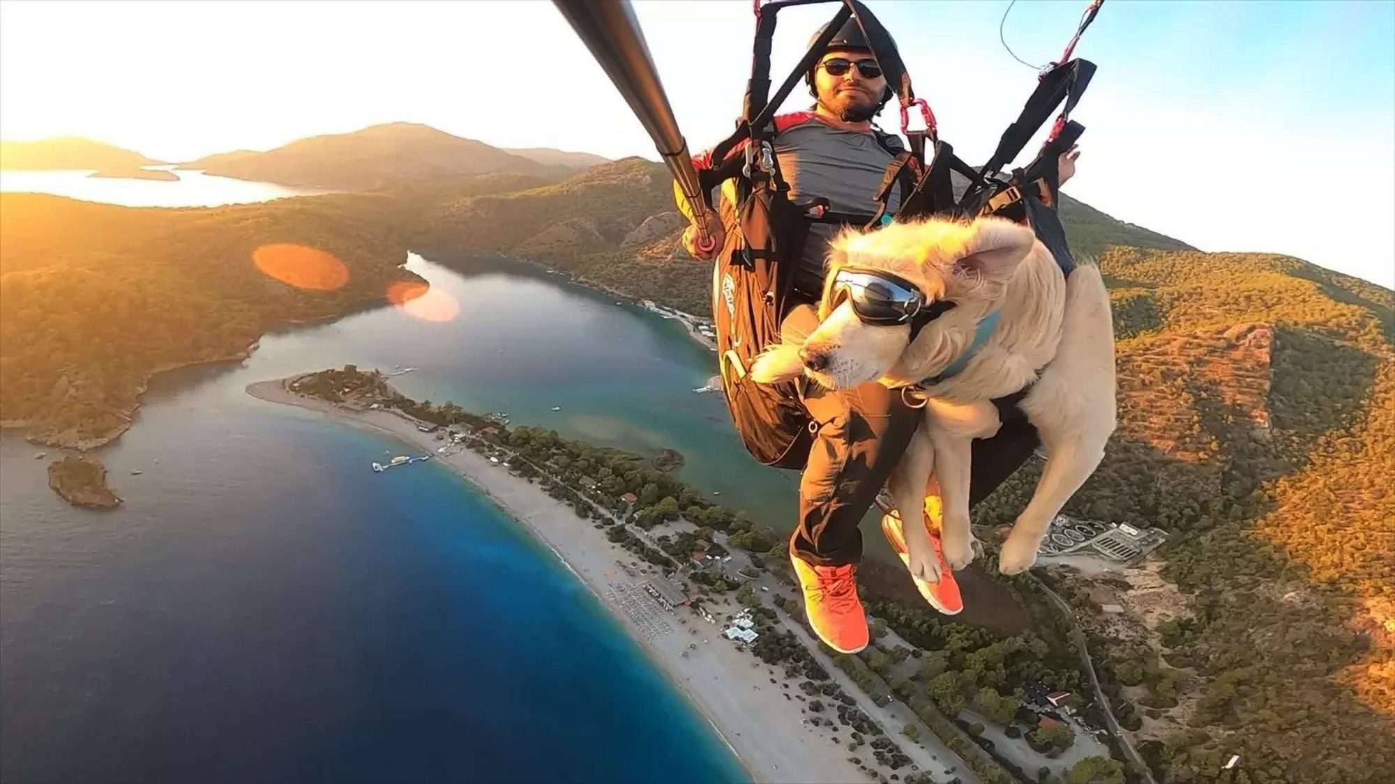 Read more about the article Man And Faithful Dog Embark On Sky-High Paragliding Adventure