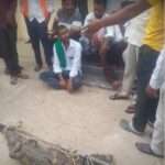 Farmers Bring Live Crocodile To Local Officials While Protesting Electricity Crisis