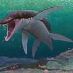Marine Reptile That Lived 170 Million Years Ago Identified As Oldest-Known Mega-Predatory…