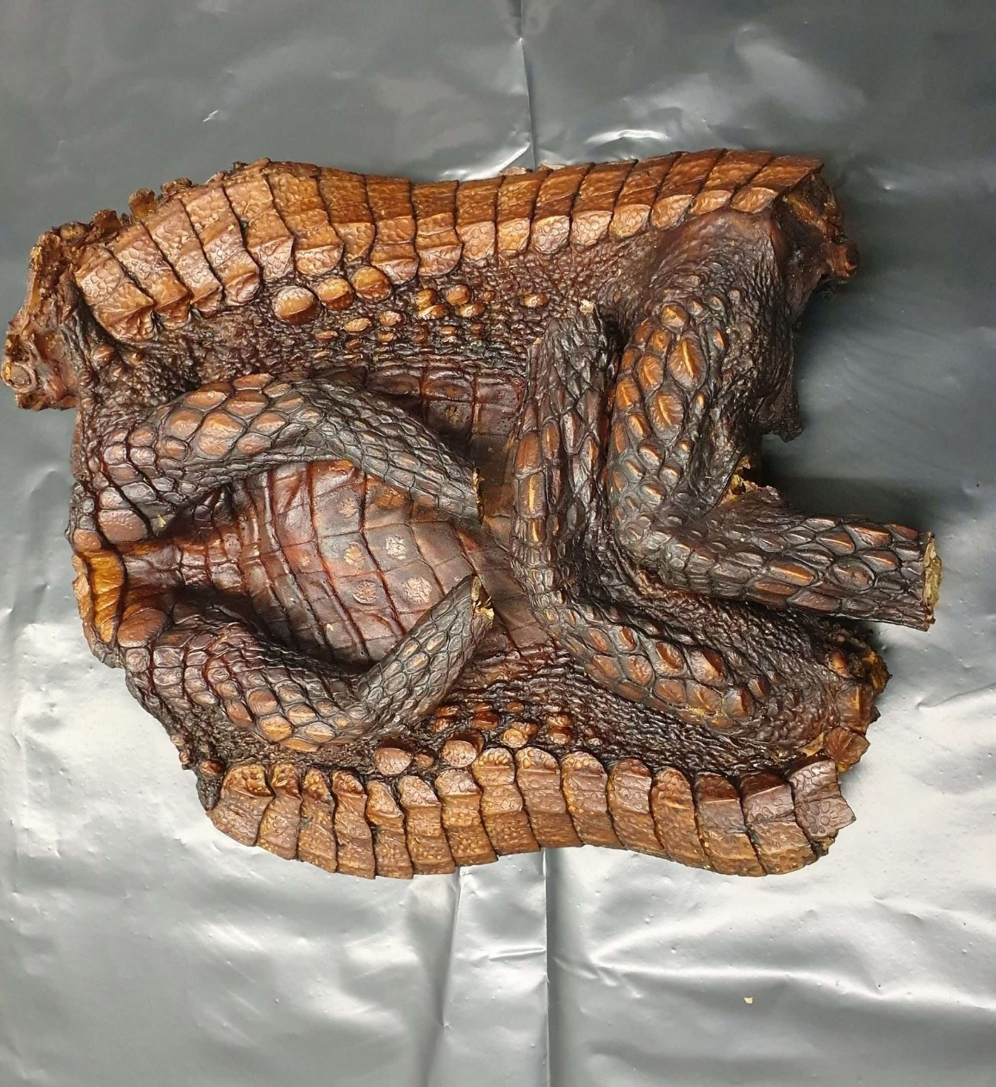 Read more about the article Hungry Flyer Caught With Smoked Snake Snack In Luggage