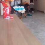  Doberman Pup Sweeps Floors With Broom