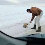 Man Helps Free Fox That Had Its Head Stuck In A Plastic…