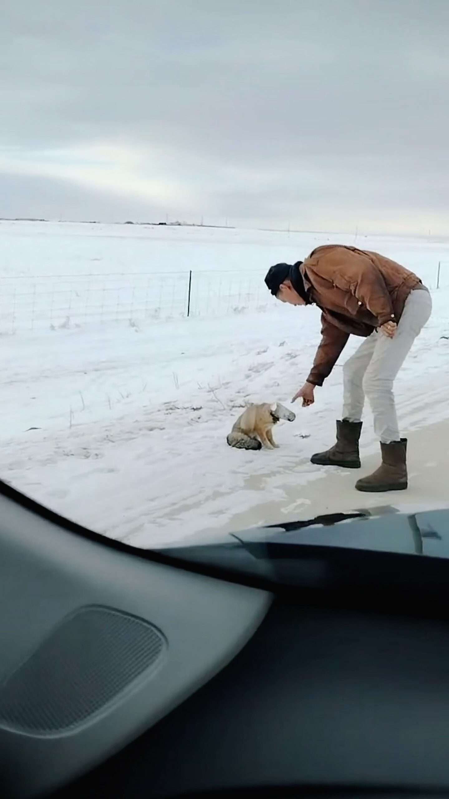 Read more about the article Man Helps Free Fox That Had Its Head Stuck In A Plastic Cup