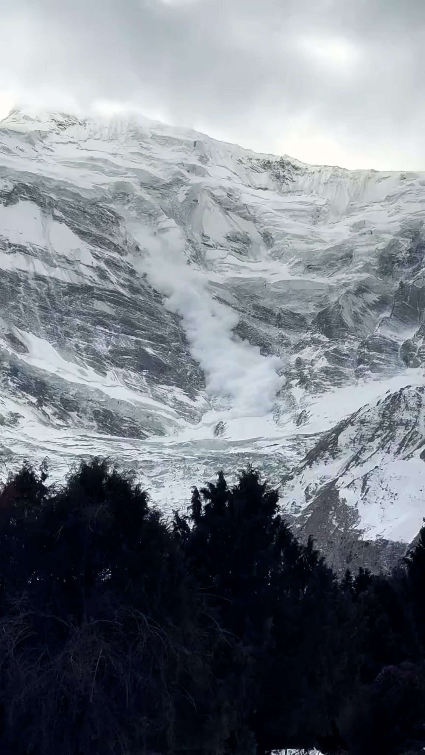 Read more about the article  Stunned Tourists Capture Spectacular Avalanche