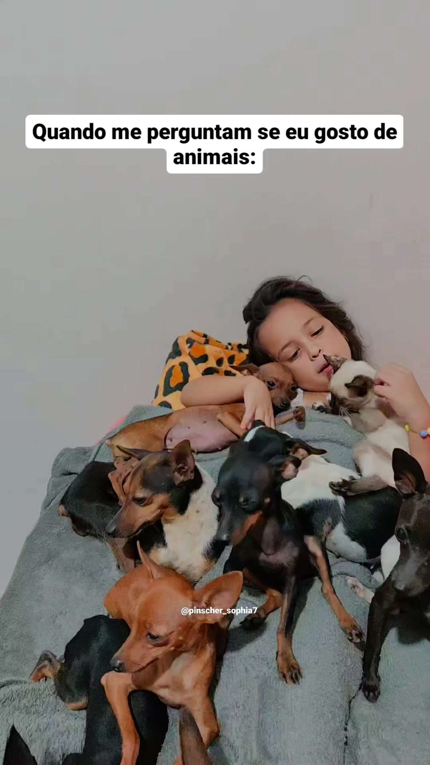Read more about the article  Young Girl, 5, Dubbed The ‘Dog Charmer’ Amazes Netizens By Singing Pooches To Sleep