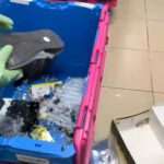 Moment Warehouse Worker Discovers Tiny Mice In Shoebox After Mother Gave Birth