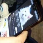 Rescuers Lure Kitten Trapped In Basement By Playing Recording Of Mother Cat…