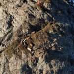 Firefighters Spend Hours Climbing Harsh Mountainous Terrain To Recover Lost Sheep