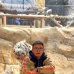 Tiger Tries To Lick Squatting Man Despite Glass Barrier