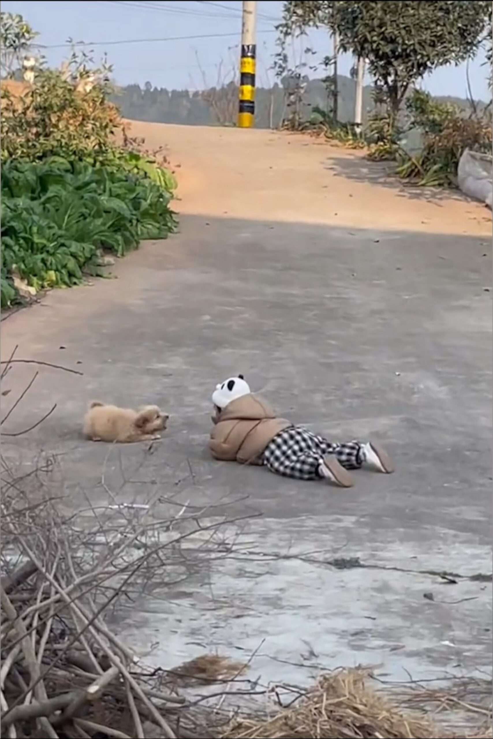 Read more about the article Toddler And Pup Have Heated Discussion Next To Frozen Pond