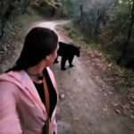 Scary Moment Woman Is Chased By Black Bear In Mexican Nature Reserve