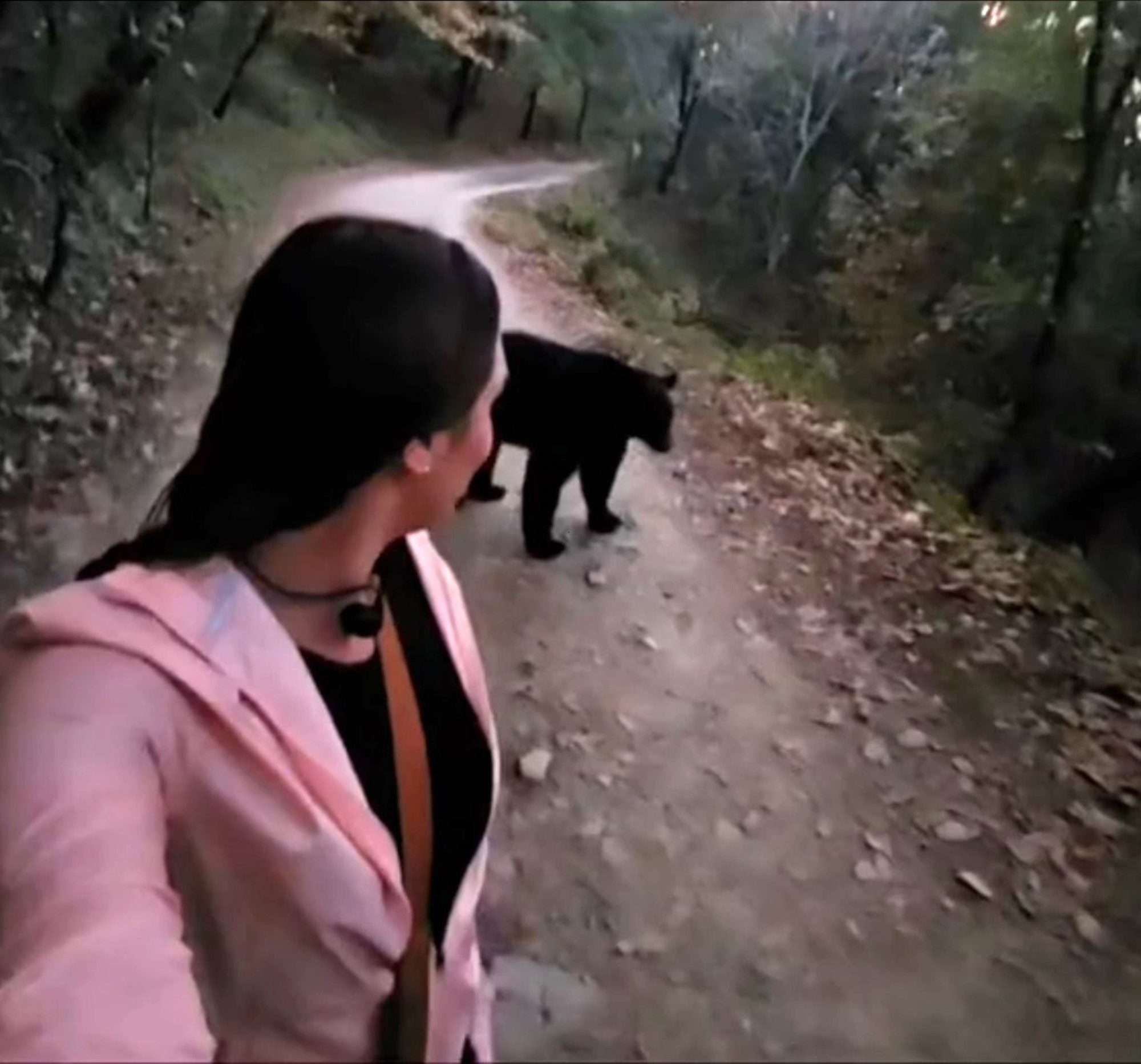 Read more about the article Scary Moment Woman Is Chased By Black Bear In Mexican Nature Reserve