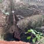Forest Team Rescues Huge Female Bison Trapped In 50-Ft-Deep Well Full Of…
