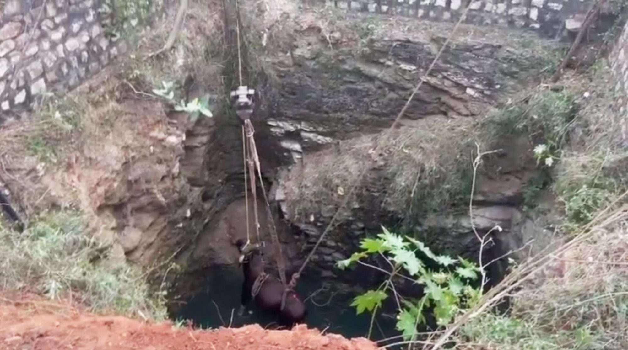 Read more about the article Forest Team Rescues Huge Female Bison Trapped In 50-Ft-Deep Well Full Of Water