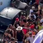 Escaped Cow Runs Amok Among Music Festival Goers – Leaving Three Injured