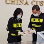 Female Traveller Caught Smuggling 11 Chameleons Concealed In Plastic Bags In Coat…