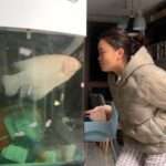 Woman Has Hilarious ‘Screaming’ Match With Playful Pet Fish