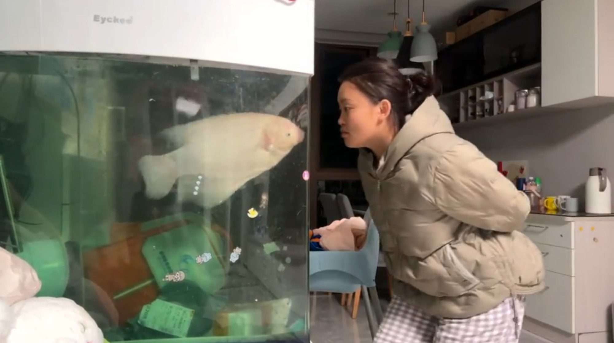 Read more about the article Woman Has Hilarious ‘Screaming’ Match With Playful Pet Fish