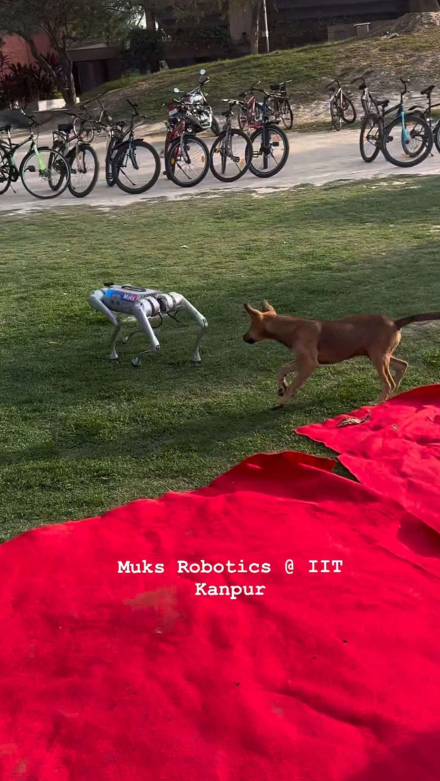 Read more about the article Curious Stray Pup Plays With Robot Dog At Tech Festival On University Campus