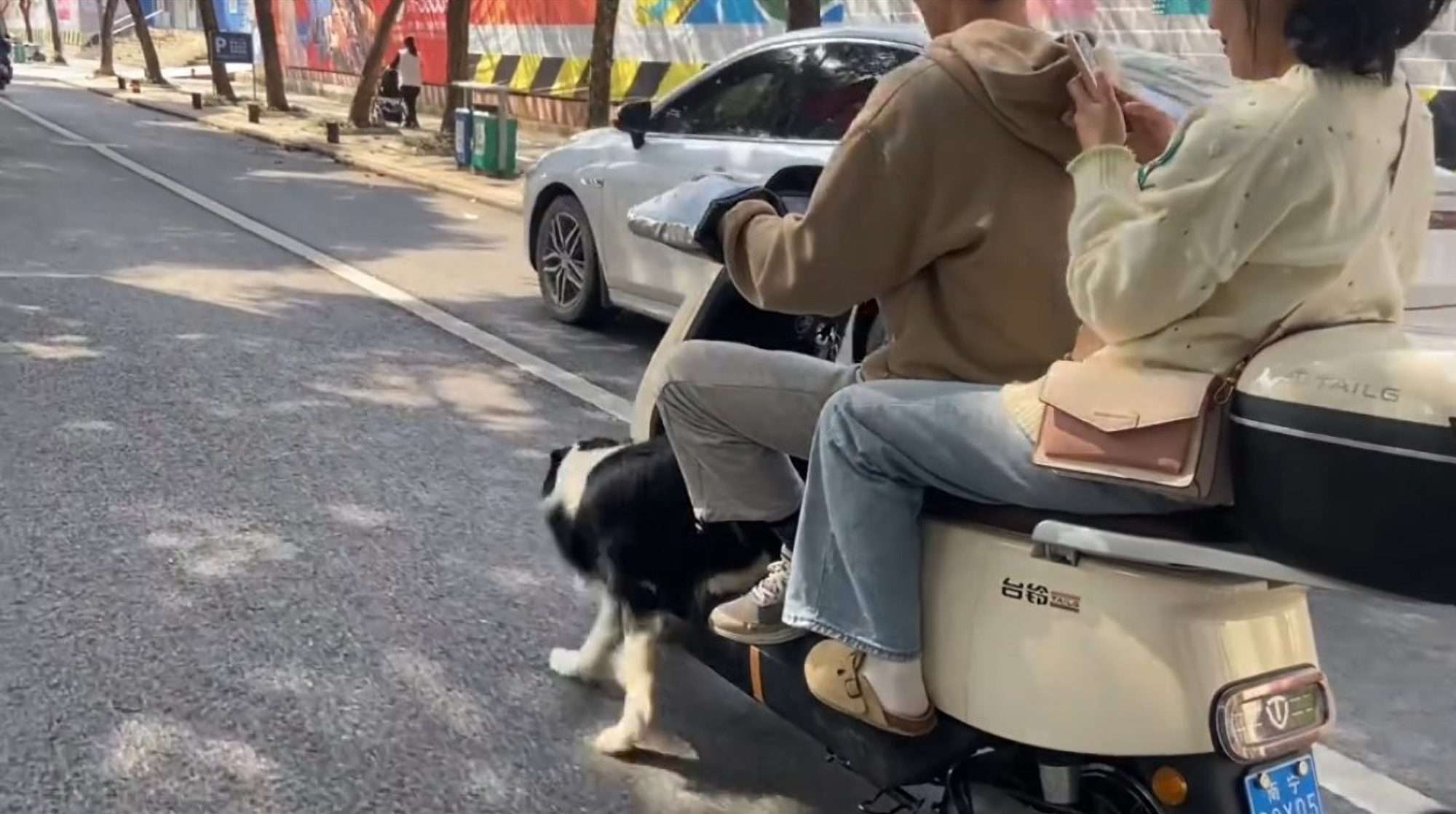 Read more about the article Eager Border Collie ‘Helps’ Owners Steer Moving Scooter By Pushing Along With Front Paws